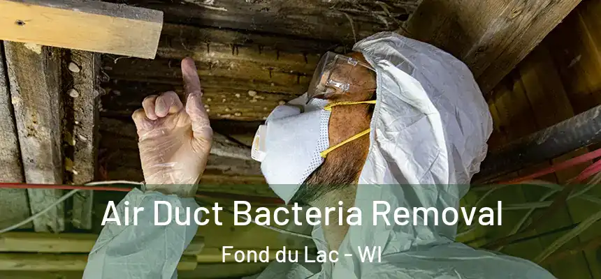  Air Duct Bacteria Removal Fond du Lac - WI
