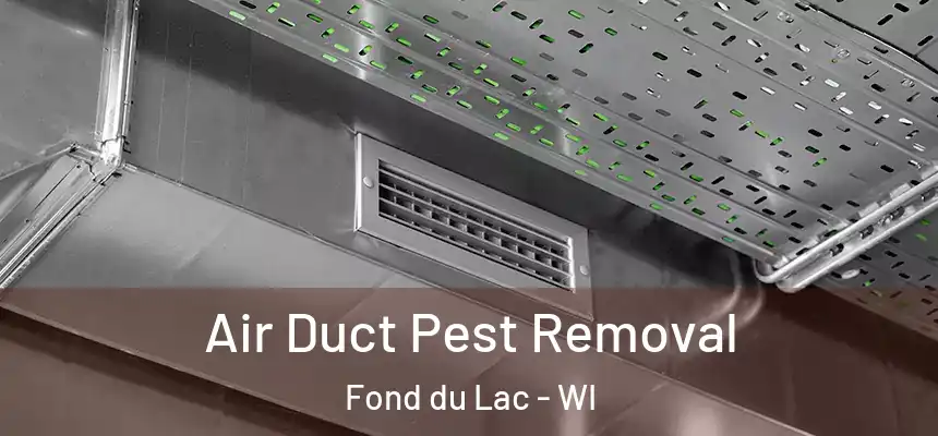  Air Duct Pest Removal Fond du Lac - WI