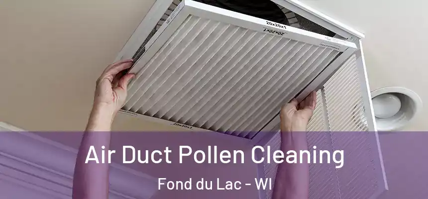  Air Duct Pollen Cleaning Fond du Lac - WI