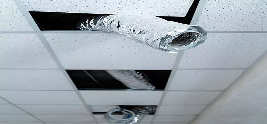 Our Air Duct Pet Hair Removal Services in Fond du Lac, WI