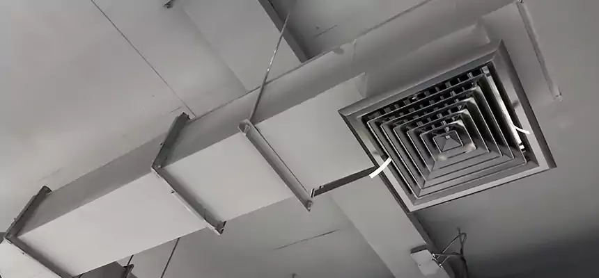 Our Rodent Droppings In Vents Services in Fond du Lac, WI