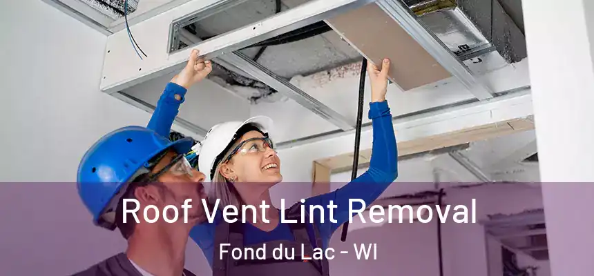 Roof Vent Lint Removal Fond du Lac - WI