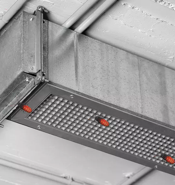 About Air Duct Cockroach Removal in Fond du Lac, WI