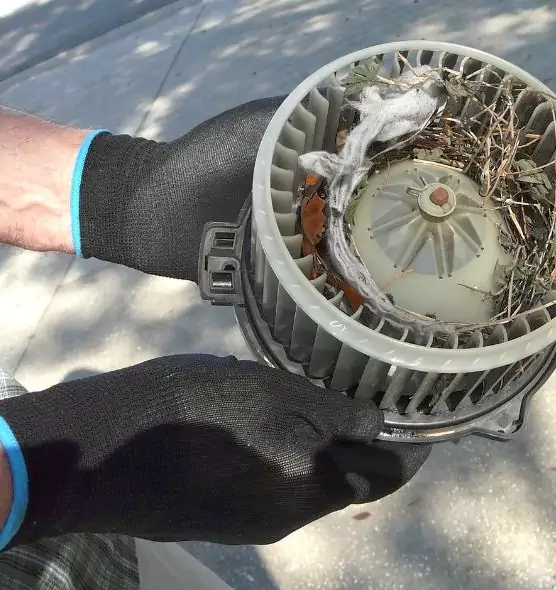 About Air Duct Mice Removal in Fond du Lac, WI