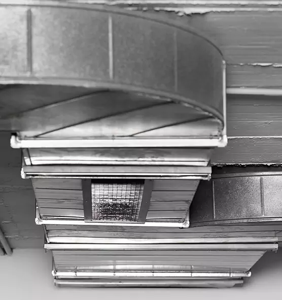 Professional Air Duct Pest Removal in Fond du Lac, WI