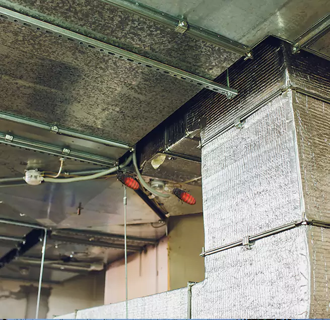 Why Homeowners & Businesses Trust Us in Fond du Lac, WI?